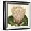 Tropical Vision VI-Vision Studio-Framed Art Print