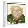 Tropical Vision VI-Vision Studio-Framed Art Print