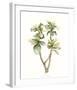 Tropical Watercolor Leaves III-Megan Meagher-Framed Giclee Print