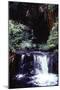Tropical Waterfall-James P. Mcvey-Mounted Art Print
