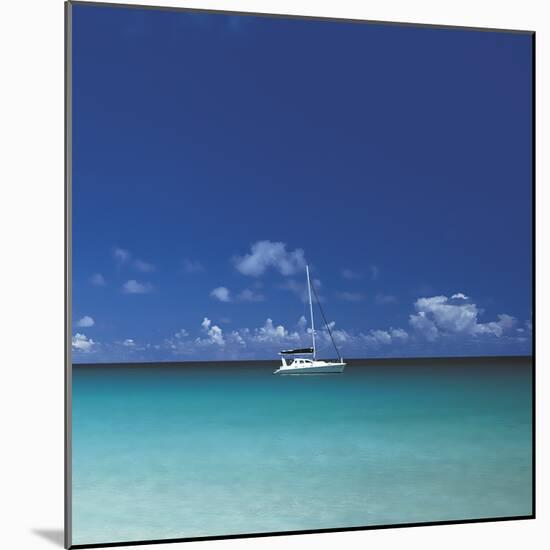 Tropical Waters I-Adam Brock-Mounted Giclee Print