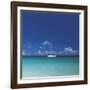 Tropical Waters I-Adam Brock-Framed Giclee Print