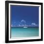 Tropical Waters I-Adam Brock-Framed Giclee Print