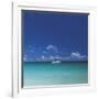 Tropical Waters I-Adam Brock-Framed Giclee Print