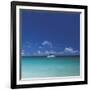 Tropical Waters I-Adam Brock-Framed Giclee Print