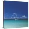 Tropical Waters I-Adam Brock-Stretched Canvas