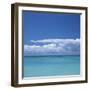 Tropical Waters II-Adam Brock-Framed Giclee Print