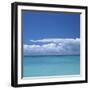 Tropical Waters II-Adam Brock-Framed Giclee Print