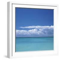 Tropical Waters II-Adam Brock-Framed Giclee Print