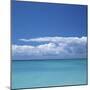 Tropical Waters II-Adam Brock-Mounted Giclee Print