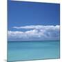 Tropical Waters II-Adam Brock-Mounted Giclee Print