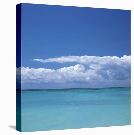 Tropical Waters II-Adam Brock-Stretched Canvas