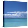 Tropical Waters II-Adam Brock-Stretched Canvas