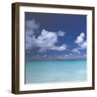 Tropical Waters III-Adam Brock-Framed Giclee Print