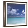 Tropical Waters III-Adam Brock-Framed Giclee Print