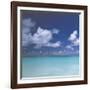 Tropical Waters III-Adam Brock-Framed Giclee Print