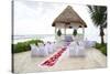 Tropical Wedding-Hannamariah-Stretched Canvas