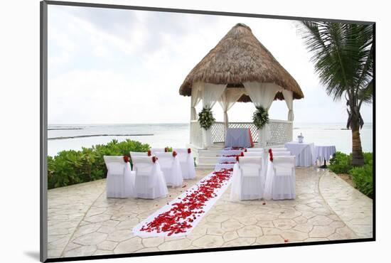 Tropical Wedding-Hannamariah-Mounted Photographic Print