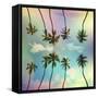 Tropical-Mark Ashkenazi-Framed Stretched Canvas