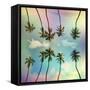 Tropical-Mark Ashkenazi-Framed Stretched Canvas