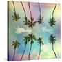 Tropical-Mark Ashkenazi-Stretched Canvas