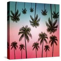 Tropical-Mark Ashkenazi-Stretched Canvas