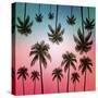 Tropical-Mark Ashkenazi-Stretched Canvas