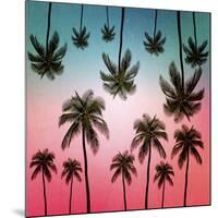 Tropical-Mark Ashkenazi-Mounted Giclee Print