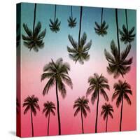 Tropical-Mark Ashkenazi-Stretched Canvas