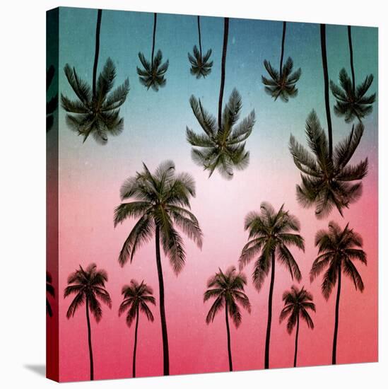 Tropical-Mark Ashkenazi-Stretched Canvas