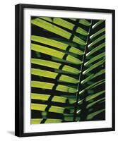 Tropicale-Catherine Thurel-Framed Art Print