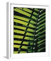 Tropicale-Catherine Thurel-Framed Art Print