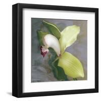 Tropicale-Erin Clark-Framed Art Print