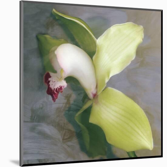 Tropicale-Erin Clark-Mounted Art Print