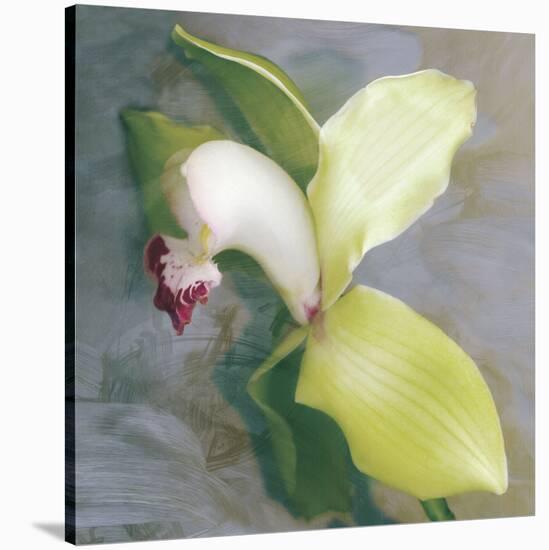 Tropicale-Erin Clark-Stretched Canvas