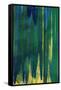 Tropicalia Abstract I-Jodi Fuchs-Framed Stretched Canvas