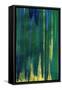 Tropicalia Abstract I-Jodi Fuchs-Framed Stretched Canvas