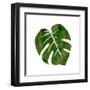 Tropicana 2-Sheldon Lewis-Framed Art Print