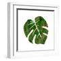 Tropicana 2-Sheldon Lewis-Framed Art Print