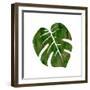 Tropicana 2-Sheldon Lewis-Framed Art Print