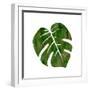 Tropicana 2-Sheldon Lewis-Framed Art Print