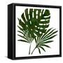 Tropicana 4-Sheldon Lewis-Framed Stretched Canvas