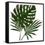 Tropicana 4-Sheldon Lewis-Framed Stretched Canvas
