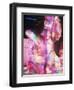 Tropicana Cabaret, Havana, Cuba, West Indies, Central America-D H Webster-Framed Photographic Print