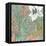 Tropicana II-Jennifer Goldberger-Framed Stretched Canvas