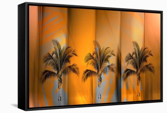 Tropicana-Andrew Michaels-Framed Stretched Canvas