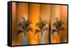 Tropicana-Andrew Michaels-Framed Stretched Canvas