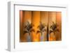 Tropicana-Andrew Michaels-Framed Photographic Print