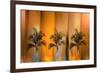 Tropicana-Andrew Michaels-Framed Photographic Print