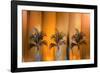 Tropicana-Andrew Michaels-Framed Photographic Print